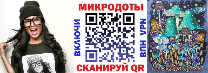 Псилоцибиновые грибы Cubensis  Полесск 